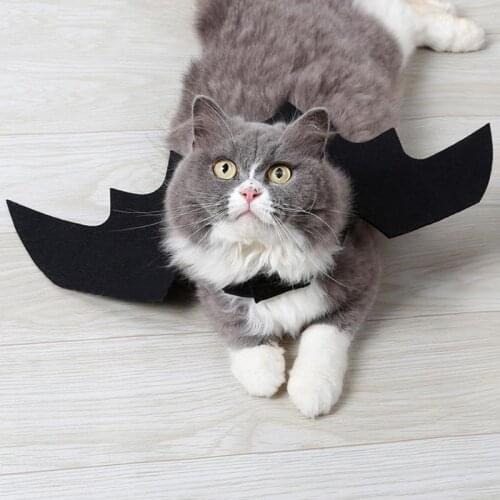Pet Costumes Bat Wings Black Cool Fancy Dress Dog Cat Decoration Adjustable Cat Wings for Pets decoration Pet Products