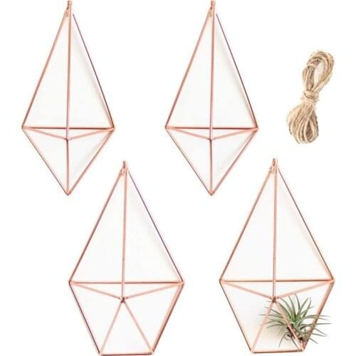 4Pack Wall Mounted Air Plants Holder Geometric Plant Holder 2 Shapes Tillandsia Rack Accent Decor Air Fern Himmeli Decor