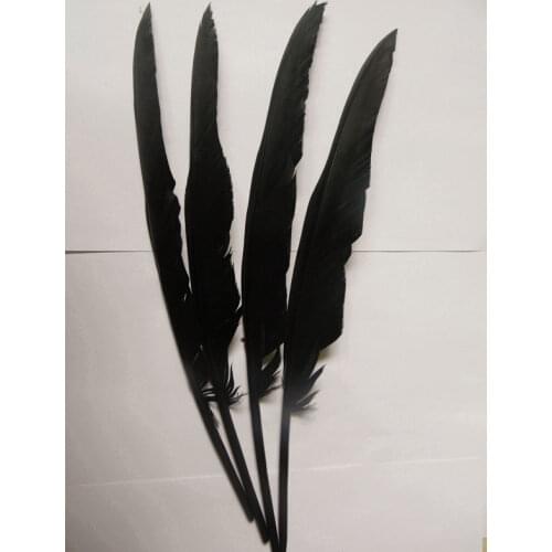 Wholesale 50PCS beautiful dyeing raven feathers 30-35 cm