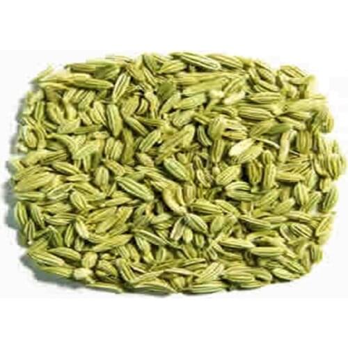 Fennel Foeniculum vulgare 50 gr-400 gr Free Shipping
