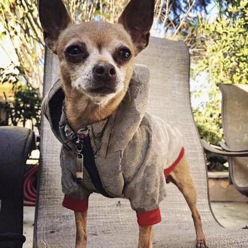 Fashion Pet Dog Jacket Coat Clothes Winter Warm Sweater Jumper for Small Medium Dogs Puppy FRench Bulldog Chihuahua Pug WHC10