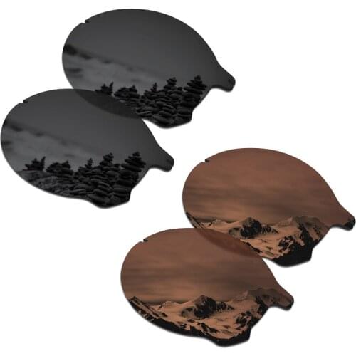 SmartVLT 2 Pairs Polarized Sunglasses Replacement Lenses for Oakley Tailend Stealth Black and Amber Brown