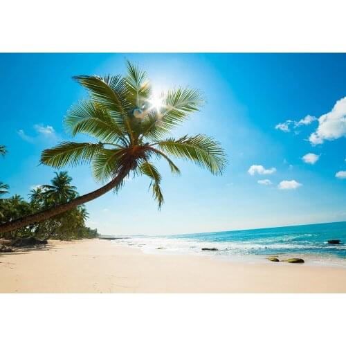 Tropical plants Sea beach backdrop for Photography blue sky party decoration summer photo background photobooth studio props