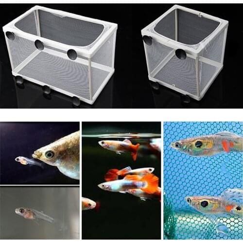 Hot Selling Aquarium Fish Tank Guppy Breeding Breeder Fish Baby Gauze Trap Box Isolator S/L AUG25