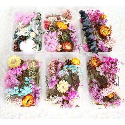 Real Dried Flower Plants For DIY Accessories Multiple Floral Material for Aromatherapy Candle Resin Pendant Making Craft WWO66