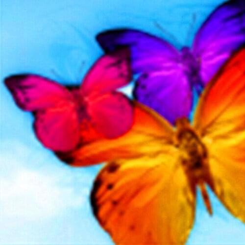 Diamond Painting 3d diamond embroidery Butterfly beadwork counted cross stitch kits pictures rhinestones diamond mosaic A204l