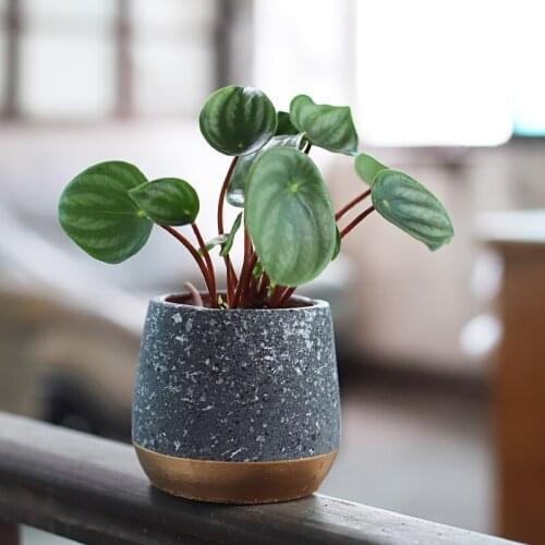 Golden splicing cement pot Gray marble flower pots balcony decorations maceta succulent plant desktop decor garden accessories