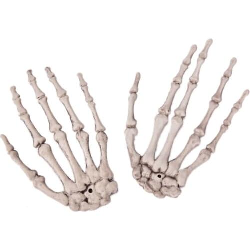 Human Anatomical bone Skeleton Model Learn Aid Anatomy art sketch 1 pcs Skull Skeleton Hand Bone Halloween