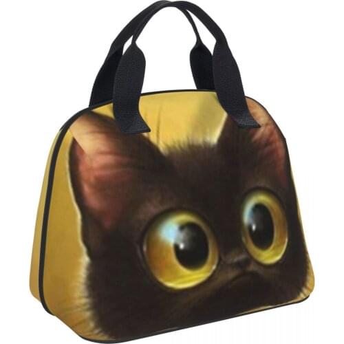 Cartoon Cats Lunch Bag Women Kid Waterproof Portable Zipper Thermal Oxford Cooler Convenient Lunch Box Tote Food BBQ Bag