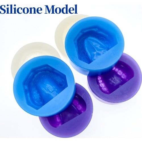 Dental Plaster Model Silicone Mold Mould of Edentulous Jaw Complete Cavity Block Dental Supplies