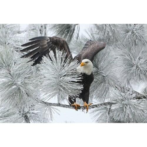 Diamond Painting Animal Eagle Embroidery Diamond Mosaic Landscape Handmade Gift Winter Wall Art Full Square