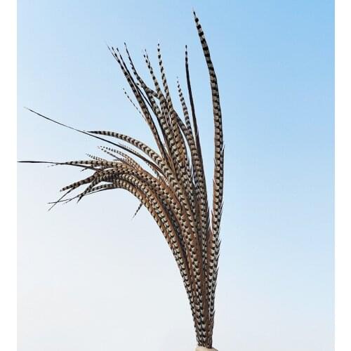 48-32 inch / 120-130 CM Natural Rare Pheasant Tail Feathers for Crafts Wedding Decorations Reeves Pheasant Tail Feathers Plumas