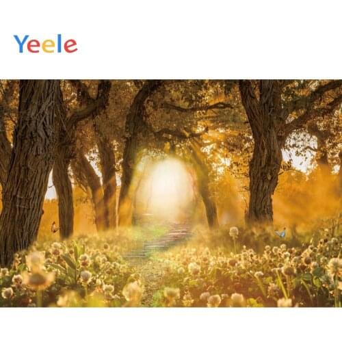 Autumn Dreamy Forest Backdrop Newborn Baby Shower Kids Birthday Party Nature Photography Background Vinyl For Photo Studio