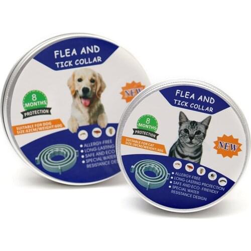 8 Month Flea Tick Collar For Dogs Cats Collar Pet Adjustable for Small Dogs Pets Accessories Cute Products