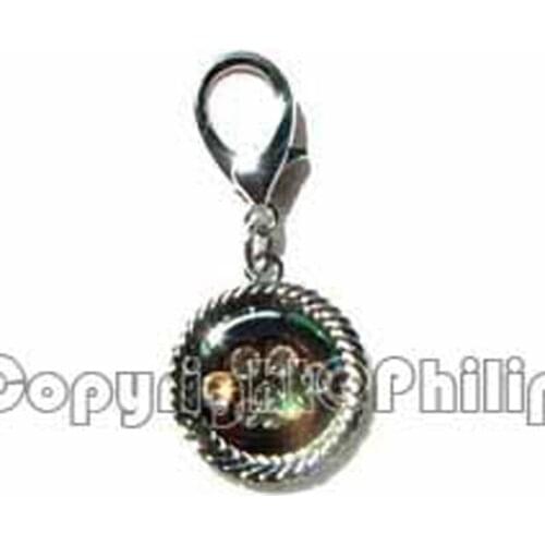 New 6pcs lot crystals 30mm fine polished Dog Tag paw print charm pets collar ornament key chain jewelry accessory