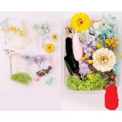 20g/ Box Random Mix Style Dried Flowers Aromatherapy Candle Epoxy Mold Jewelry Making Craft DIY Accessories