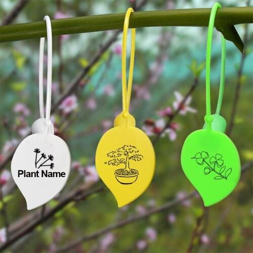 50Pcs Free Customized Plant Labels Plastic Garden Marker Pot Marker Stake Hanging Tags Greenhouse Bonsai Tags160mm/6.3"