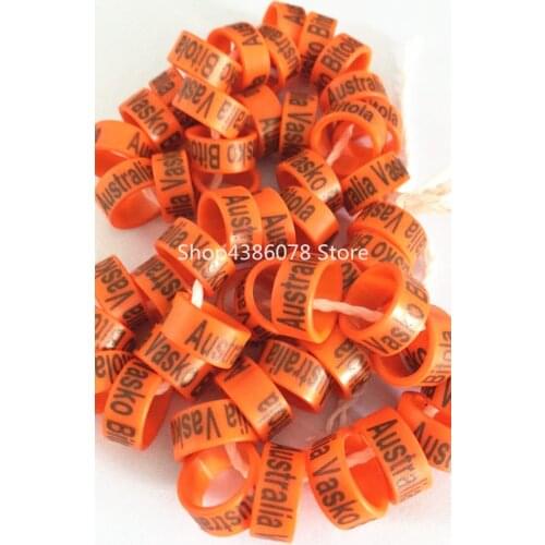 Free shipping cheap 200pc ring customize personal plastic new style pigeon birds leg foot ring bands