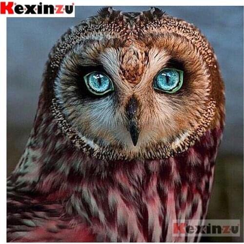 Kexinzu Full 5D DIY Square Diamond Painting"Blue eyes owl"3D Embroidery Cross Stitch Rhinestone Mosaic Home Decor Gift X5000
