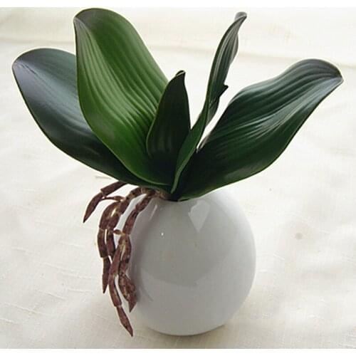 1Pcs Real Touch Artificial Green Plastic Butterfly Orchid Leaf Beauty Plant Home Decor For Wedding Decor DIY Gift New