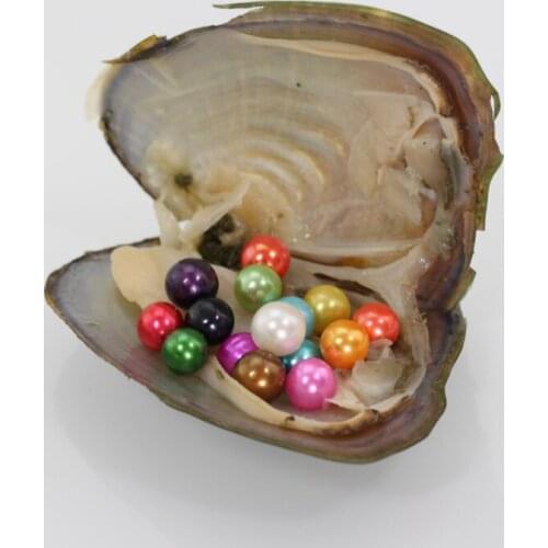 20pcs/lot FreshWater Cultured Pearl Oysters With 6-7mm Round Shape Pearl Mixed Colors Love Wish Pearl Vacuum Packaging FR025
