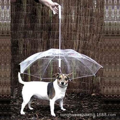Pet Rain Umbrella New Quick Order Teddy Small Dog with Traction Dog Chain Walking Rain Umbrella Dog Raincoat Poncho Umbrella