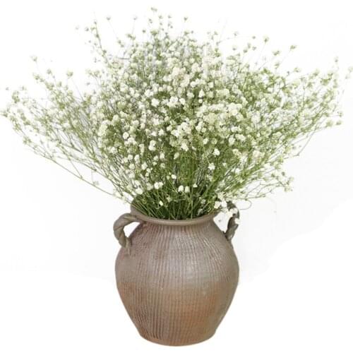 Natural Fresh Dried Preserved Flowers Gypsophila Paniculata Baby Breath Flower Bouquets Gift For Wedding Party Home Dekoration