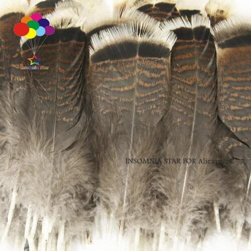 50pcs Wholesale unique wild Turkey tail feathers 3-12 inches / 8-30 cm
