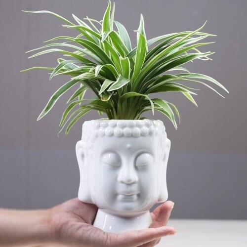 Home Decoration Zen White Flower Pot Ceramic Fleshy Green Plant Pot Container Potted