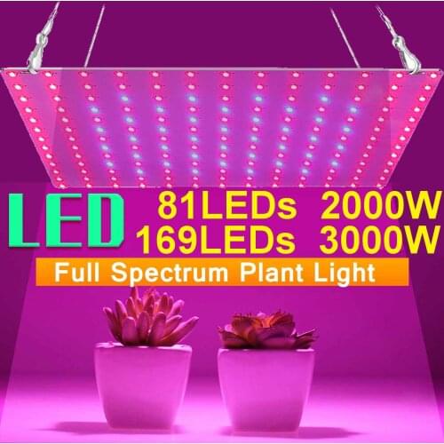 New 81/169 LEDs 2000W 3000W Indoor LED Grow Light Plant Growing Lamp Red Blue Full Spectrum For Indoor Hydroponic Plant