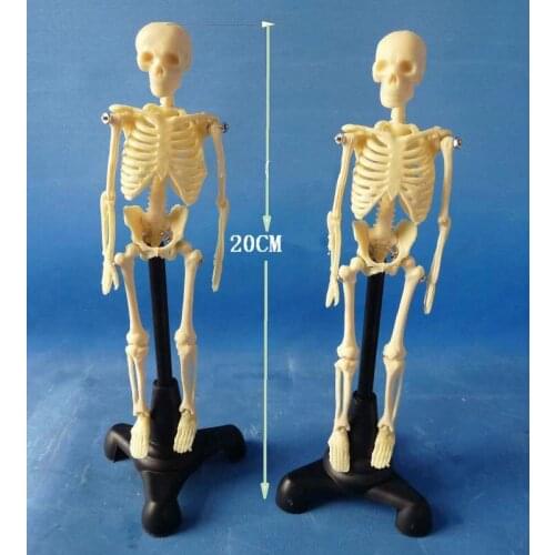 PVC 20cm Human Body Skeleton Model Mini Mannequin Bone Model Human Body Bone with Spinal Medical Teaching Skeleton Model