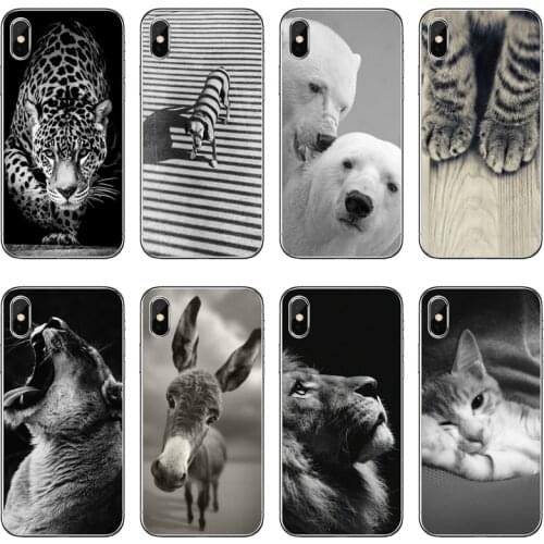 Cute small animal Accessories phone Case For iPhone 12 11 Pro Max XS Max XR X 8 7 Plus 6 6S Plus 5 5S SE 2020
