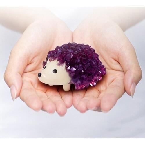 DIY Observed Growing Wish Grow Crystals Magic Hedgehog Kids Kit Magical Chemistry Experiment Educational Toys For Children Gift