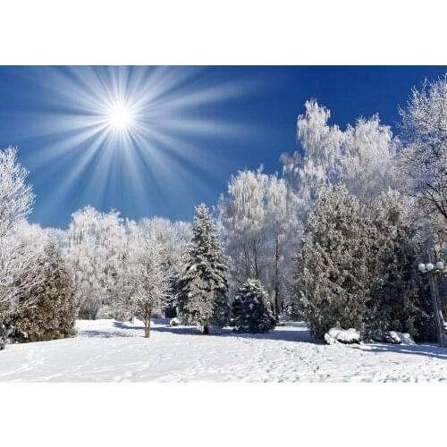 Sunshine Snow Trees Photographic Backdrop for Christmas Vinyl Cloth Backgrounds for Children Baby Family Photocall Fond Photo