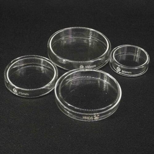 60/75/90/100/120mm Borosilicate Glass Petri Culture Dish with Lids For Laboratory Bacterial Yeast Teaching
