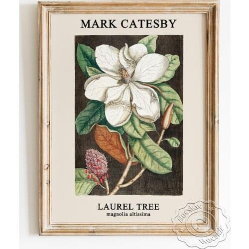 Mark Catesby Exhibition Museum Poster, Laurel Tree Magnolia Altissima Art Prints, Vintage Illustration Home Decor Wall Picture
