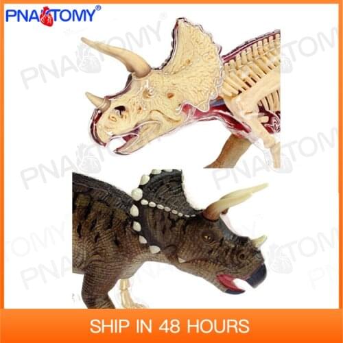 4D Dinosaur Toy Triceratops Model Dino Anatomy Skeleton DIY Toys Educational Gift STEM Equipment Detachable Master 26093