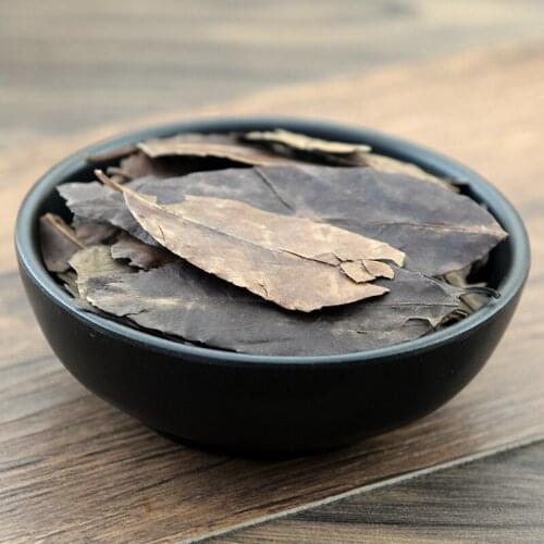 Ilex Chinensis Sims Holly Leaf Flos Ilex Chinese Ilex DongQingYe