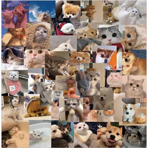 10/30/48PCS Cute Cat Dog Expression Meme Stickers Laptop Guitar Luggage Phone Waterproof Graffiti Sticker Decal Kid Classic Toys