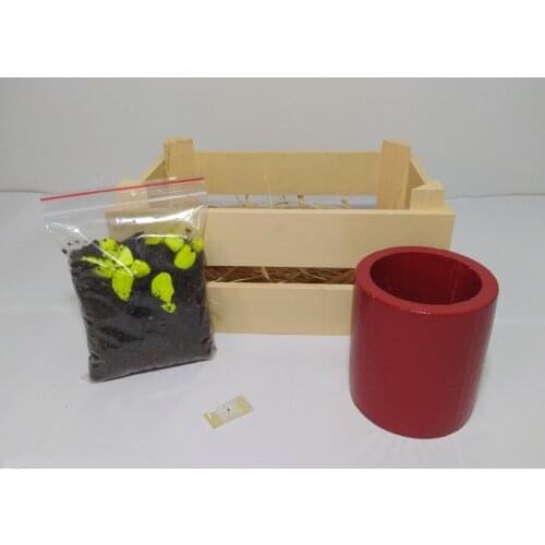 KENDİN YETİŞTİR LOCKER