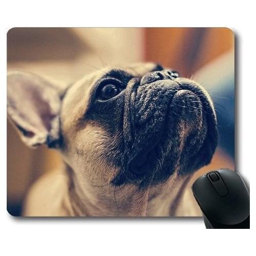 Dogs pets garden Mouse Pads ,Gerda French Bulldog Dog Portrait Model View,dogs mouse mat
