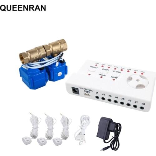 Best Quality Cheap Water Leakage Detector For Smart Home Security with 2pcs DN15 WLD-806 Water Leakage Flood Overflow Sensor