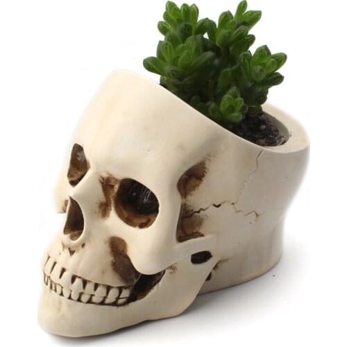 Hollowed Out Small Skeleton Storage Ornament Candle Base Office Home Desktop Succulent Green Plant Small Flowerpot