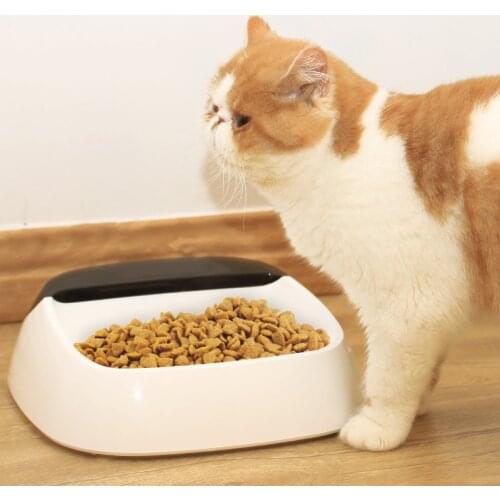 Pet Smart Weighing Bowl Reasonable Weighing And Feeding Bowl Available For Both Cats And Dogs Lcd Screen Displays Weight