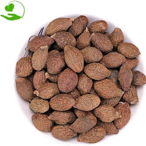 Pang Da Hai Boat-fruited Scaphium Fruit Semen Sterculiae Lychnophorae Boat-fruited Sterculia Fruit