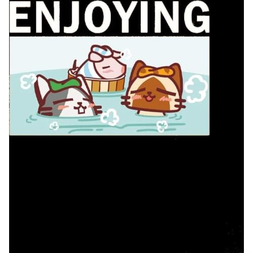 Three lovely animals Swiming Cat Iron On Patches DIY Accessory Heat Transfer Washable Stickers For Clothes Bag Print Jeans