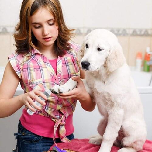 Dog Nail Electric Grinder Adjustable 2 Speed Mode Rechargeable Pet Painless Nail Trimmer Dogs & Cats Paws Grooming Supplies