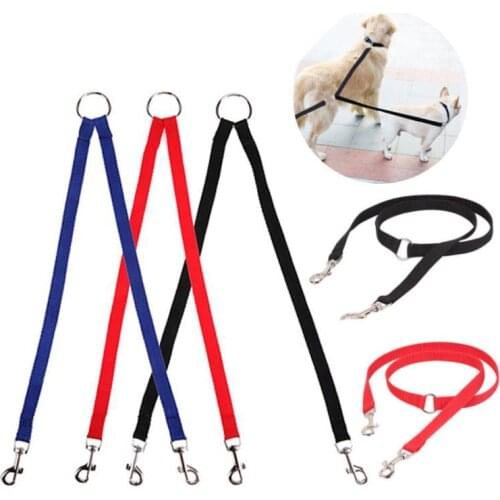 Nylon Pet Dog Coupler Leash Walking Lead Traction Rope for Two Dogs Collar Leading Puppy Leashes Dog Cats Supplies Pet Products