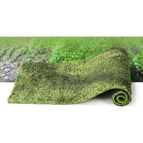 Natural Moss rainforest reptile carpet moisturizing durable tortoise mat material climbing pet snake Guardian lion forest mat