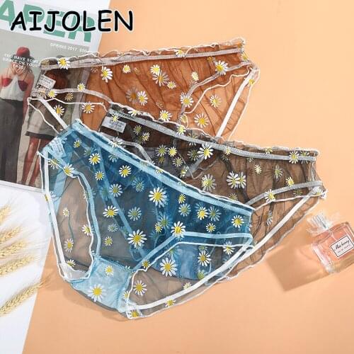 AIJOLEN Cute Daisy Sexy Mesh Panties Sweet Print Sexy Womens Panties See-through Chrysanthemum High Elastic Underwear Briefs